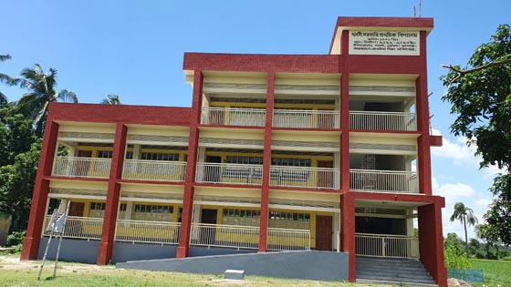 image-here